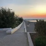 Sunny باري